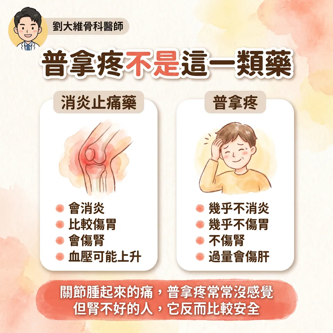 NSAID 類止痛藥全解析:常見種類、與普拿疼的差別、傷腎機轉與替代方案 衛教圖 4