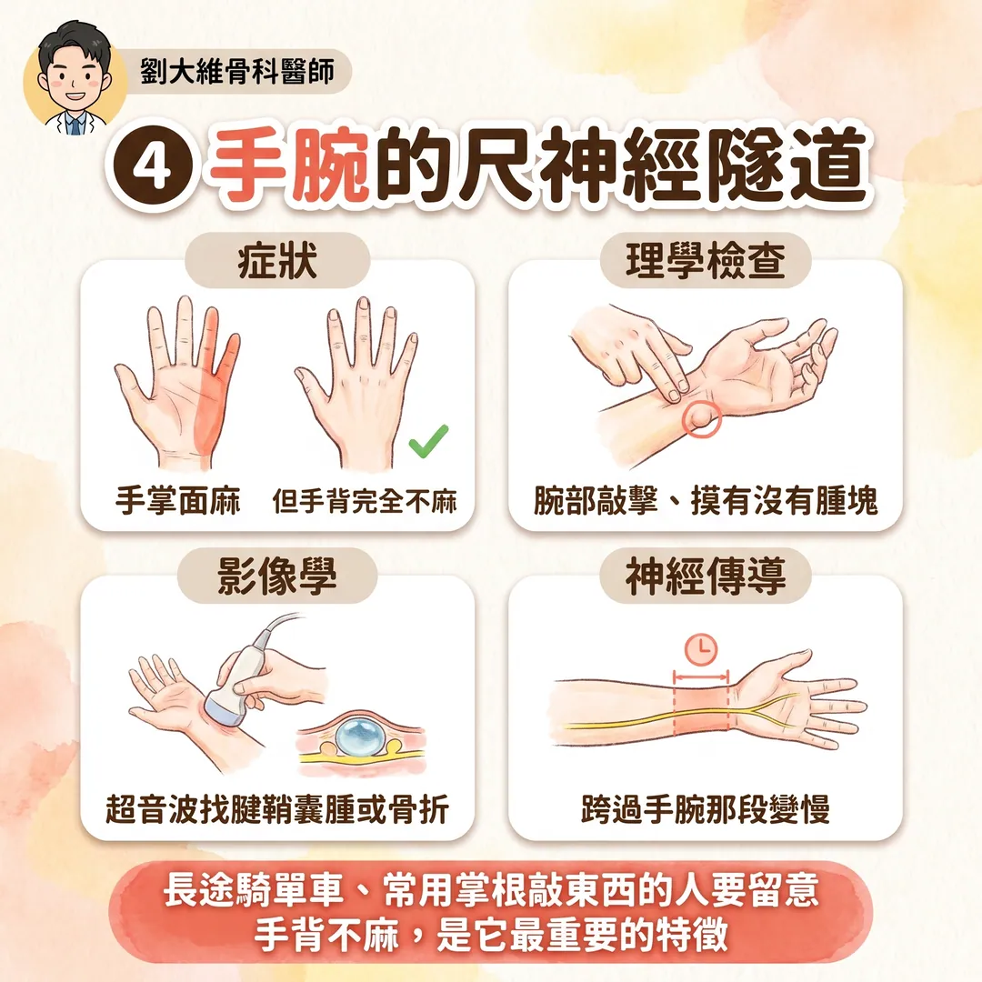 小指與無名指麻木的鑑別診斷 衛教圖 7