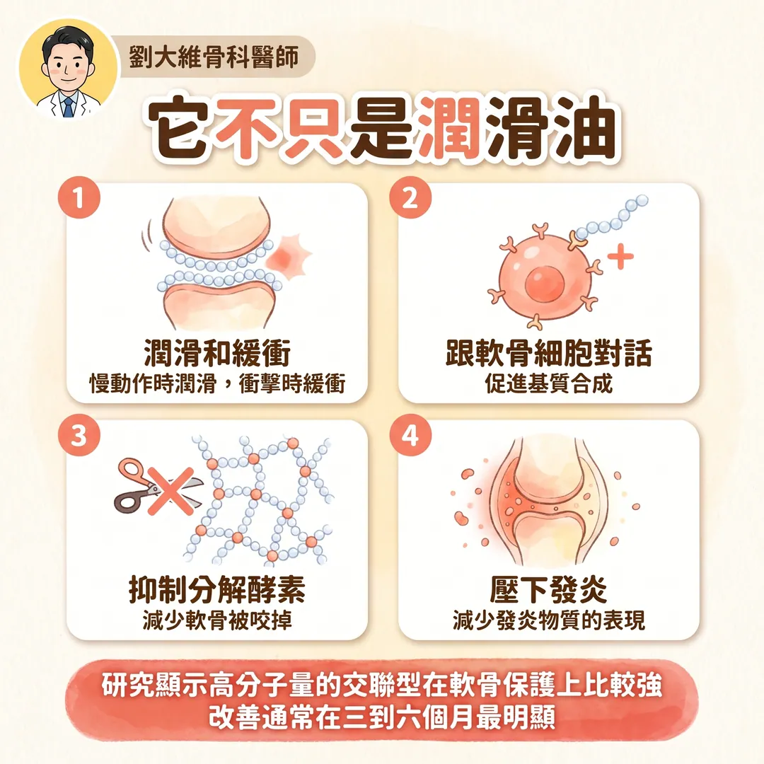 玻尿酸注射：小分子、大分子、高交聯型有什麼不同 衛教圖 5