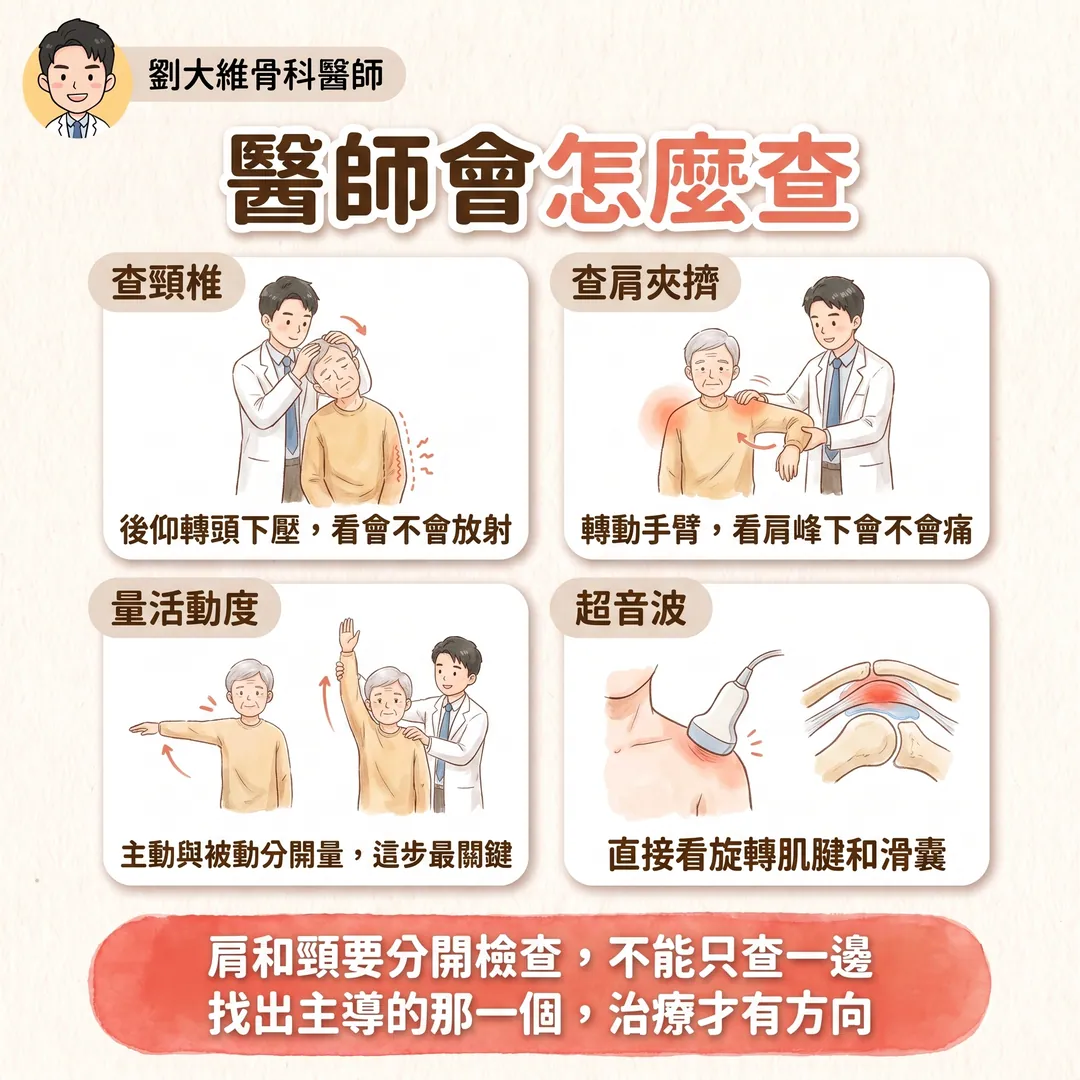 肩頸症候群：肩關節與頸椎的病灶如何互相影響 衛教圖 8