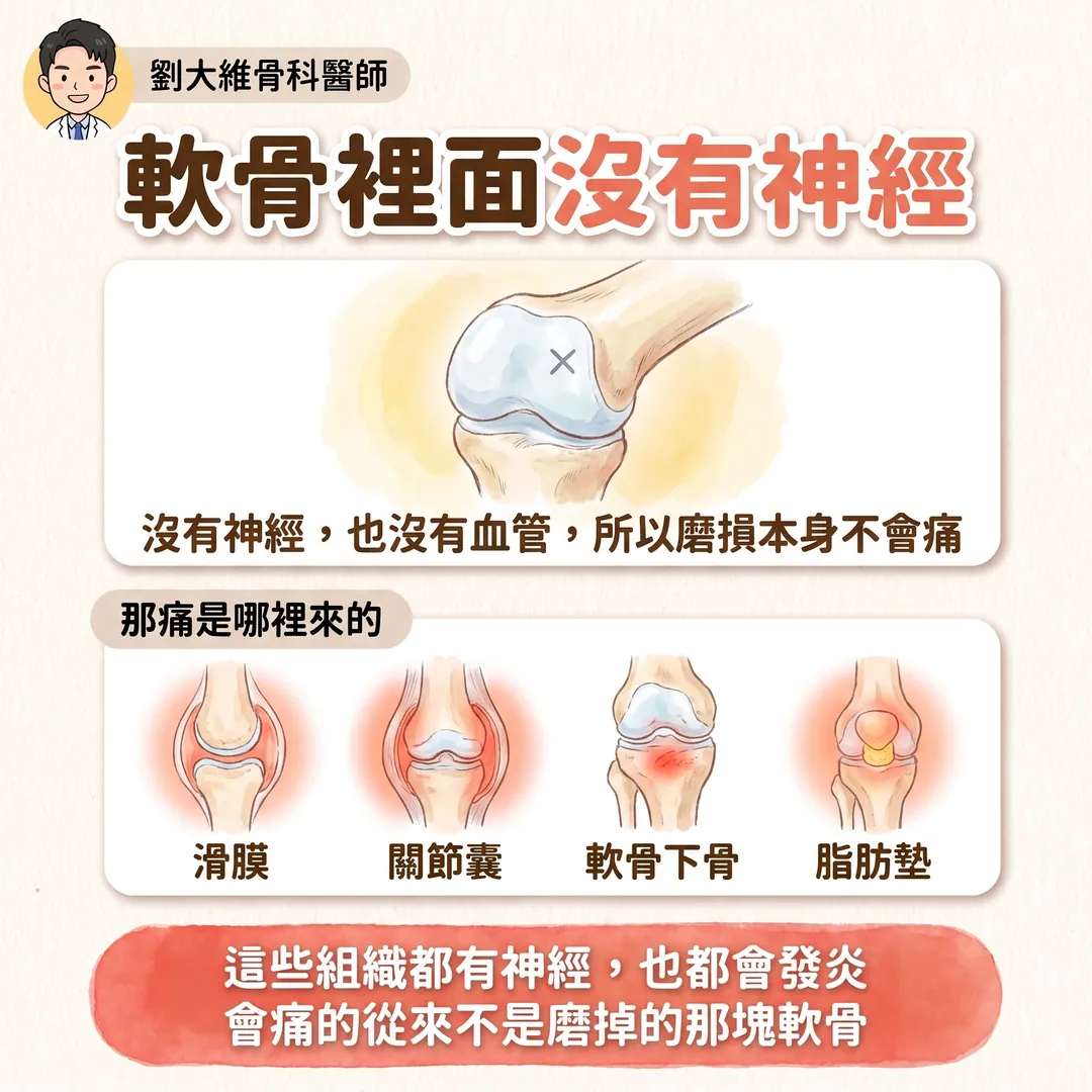 退化性關節炎：或許重點不是退化，而是發炎 衛教圖 3