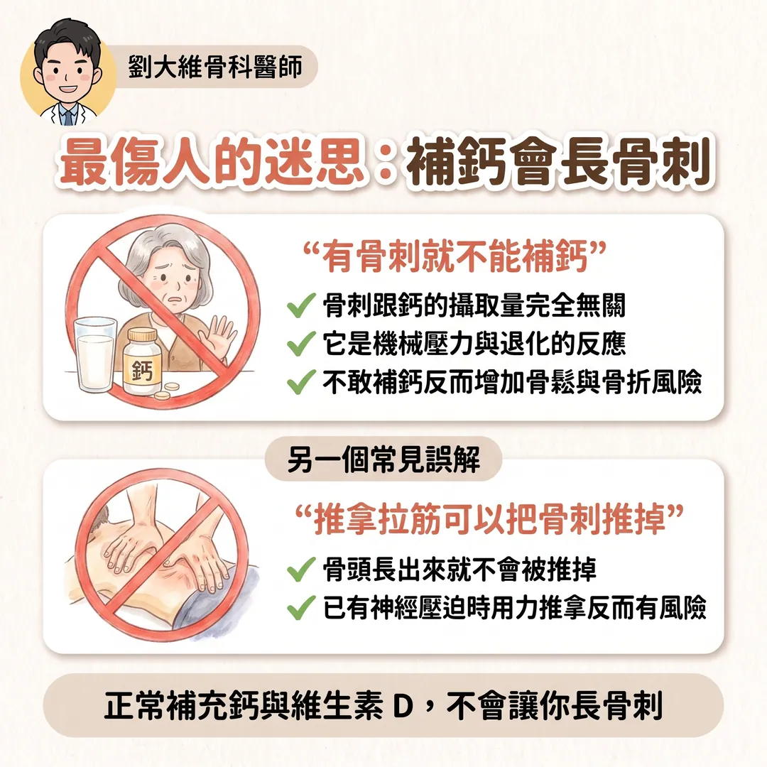 骨刺是什麼？一定要處理嗎？骨科醫師告訴你 衛教圖 6