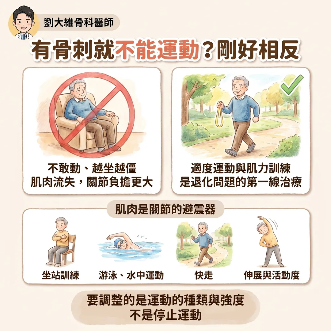 骨刺是什麼？一定要處理嗎？骨科醫師告訴你 衛教圖 7